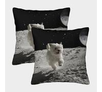 ENYISIYULO Bichon Frise Housse De Coussin Carré Lot De 2 Housses De Coussin Carrées Décoratives Dog pour Canapé, Lit, Chaise 40x40cm