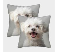ENYISIYULO Bichon Frise Housse De Coussin Carrée Lot De 2 avec Fermeture Éclair Invisible Dog pour Lit Voiture De La Maison Canapé 45x45cm