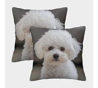 ENYISIYULO Bichon Frise Housse De Coussin Carrée Lot De 2 De Canapé Housse De Coussincarré Dog pour Canapé, Salon, Cadeau 50x50cm