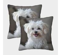 ENYISIYULO Bichon Frise Housse De Coussin Carrée Lot De 2 De Canapé Housse De Coussincarré Dog pour Patio Extérieur Jardin Salon Canapé Ferme Décor 45x45cm