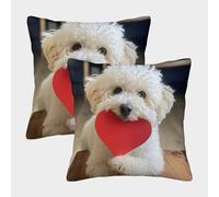 ENYISIYULO Bichon Frise Housse De Coussin Carrée Lot De 2 Housses De Coussin Carrées Décoratives Dog pour Canapé, Salon, Cadeau 45x45cm