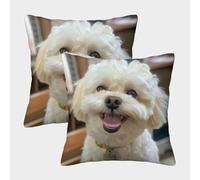 ENYISIYULO Bichon Frise Housses De Coussin Lot De 2 Housses De Coussin Carrées Décoratives Dog pour Canapé Salon Chambre Jardin Interior Extérieur 45x45cm