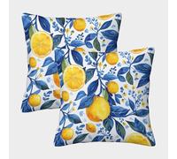 ENYISIYULO Taie d'oreiller Le Citron Lot De 2 Carrées Housse Coussins Fruits Moderne Magnifiques Housses Coussins De Voiture Canapé Maison 50x50cm