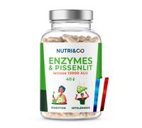 NUTRI & CO Enzymes Digestives Végétales avec 12000 UI de Lactase - Confort Digestif, Ballonnements & Intolérance au Lait - Formule Complète & Unique - 40 gélules Vegan - Fabriqué en France