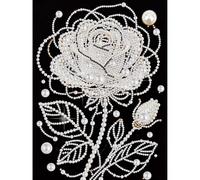 EOBROMD Rose Gem Painting Kit, 5D Fleur Pearl Set, Broderie Kits de Peinture sur Diamant Perles Point de Croix Paint pour Adultes Débutants Décoration Murale Maison 30x40cm