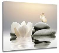 EOBTAIN Petite toile murale zen pour salle de bain, jardin, nénuphar, fleur et papillon, apaisante, spa - images encadrées pour décoration d'intérieur - 25,4 x 20,3 cm
