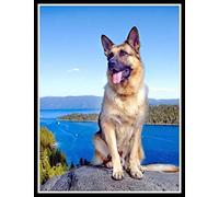 Eodyyw Diamant Peinture Chien De Compagnie Berger Allemand Diamant Peinture Kits Pour Adultes Strass Diamant Arts Craft Pour La Décoration Murale À La Maison 40X50Cm Sans Cadre