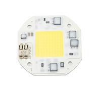 EOJDDPA Perle de lumière COB, source de lumière à puce intégrée haute puissance 20 W 30 W 50 W, ampoule de projecteur pour éclairage de circulation, éclairage paysager, éclairage (Blanc froid)