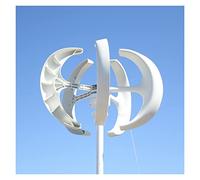 Eolienne, 5000W 8000W Turbine éolienne à axe vertical 12V 24V48V Moteur de moulin à vent Démarrage rapide Maison Ferme Réverbère hybride avec contrôleur MPPT(White,WITH COTROLLER_24V_5000W)