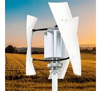 Éolienne à axe vertical 100 W Générateur à aimant permanent avec design à faible bruit et réglage automatique du vent pour les applications hors réseau