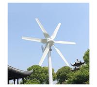 éolienne, Générateur de turbines à vent 1000W avec Mppt Contrôleur faible bruit vitesse start 1 2V 24V moulin(6,Hybrid Control,12V)