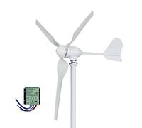 Éolienne, Générateur d'éolienne 2000w 48V 24V 12V Kit de génération de vent d'éolienne Altern d'énergie libre avec contrôleur Mppt for un usage domestique(With MPPT controller,24V)
