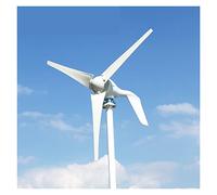 éolienne, Générateur éolien 80 0w 1000w de turbines d'énergie éolienne 1 2V 24V moulin à vent for bateau avec Mppt Contrôleur Démarrage vitesse faible bruit(3,Hybrid Control,24V)