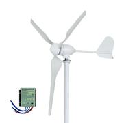 Éolienne, sortie de puissance 3000W, options de tension 12V/24V/48V , AvecMPPT, 3000W, 12V