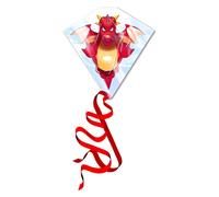 Eolo Kite'S Ready 2 Fly - Draak