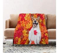 EOMKSE Couverture Douillette et Moelleuse, Couverture Douce et Chaude d'hiver,Couverture de canapé,Chien Jack Russell couché sur Le Sol Plein de Feuilles d'automne riant aux éclats co, 100x130cm