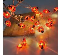 EONANT Guirlande lumineuse à 30 LED - Insecte - Sept étoiles - Coccinelle - Pour l'intérieur et l'extérieur - Pour la chambre à coucher, le balcon, la fête - Fil argenté - Alimentation par batterie