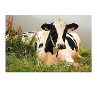 Eorntdy Impression sur toile représentant des vaches sur l'herbe - Décoration murale moderne sans cadre - Pour salon, salle à manger, chambre à coucher, salle de bain - 50,8 x 76,2 cm