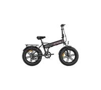 Vélo électrique EP-2 BOOST 250W 20 Pouces Pneus noir 48V13AH