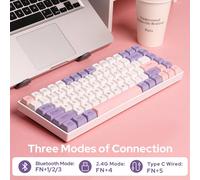 Ep84 Plus Clavier De Jeu Mécanique Échangeable À Chaud 75 % Avec Pilote Programmable,2,4 Ghz/Bt 5.0/Usb-C,Rgb,Nkro,Pbt Touches Pour Mac/Win/Gamers (Bauhinia,Flamingo)
