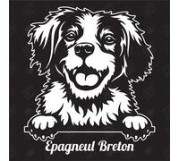 Epagneul Breton Brittany Version 1 - Autocollant de Chien, Autocollant de Voiture, Races de Chiens, bâtard, mélange, Animaux, Animal de Compagnie (ÉGALEMENT Possible avec SOUHAITÉ)
