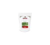 Epeautre - Graines à germer bio - 400g