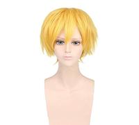 Épée Art en ligne Alicization Eugeo Synthèse trente-deux perruque courte dorée Cosplay Costume SAO résistant à la chaleur cheveux hommes femmes perruques