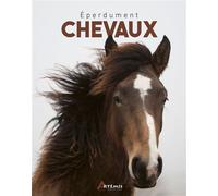 Eperdument chevaux - Collectif - Artemis Eds - relié - Beau livre
