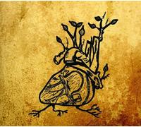 Ephemeral Sun - Harvest Aorta