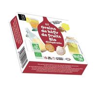 Epicerie Natali - Kit grains de kéfir de fruits déshydratés - unité