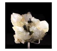 SEPTARIA - Pierre Naturelle en Provenance de France, Arnayon, Drôme - Cristal de guérison et de protection, fossile marin - 186.0 ct - Certificat d'Authenticité Inclus 35 x 30 x 20 mm G