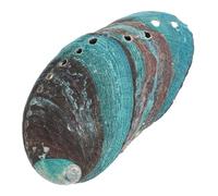 EPIGEIST 3 pièces Bol Décoratif Coquille Ormeau Naturel pour Fumigation Lot de Bols Abalone Support Fonctionnel et Ornemental pour Rituel Zen