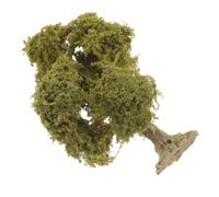 EPIGEIST Arbres Miniatures Artisanaux pour Modèle de Décoration Jardin et Maison Micro-Arbres pour Table de Sable et Diorama