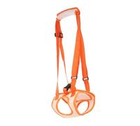 EPIGEIST Ceinture de Soutien Rééducation Chien Âgé Handicapé Ceinture Assistance Marche Oxford Léger et Lavable Aide Réhabilitation des Pattes Arrières