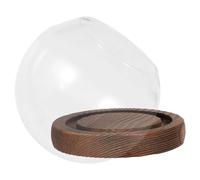 EPIGEIST Cloche en Verre Sphérique Ø10 Cm avec Base en Bois Antique, Dôme Protecteur Transparent pour Fleurs Séchées, Serrage Décorative pour Micro-paysages, Couverture D’échantillon Floral