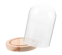 EPIGEIST Cloche en Verre Transparente 8x15 Cm avec Socle en Bois Naturel, Dôme Vitrine pour Micro-Paysage et Décoration Intérieure, Vitrine Verre pour Fleurs Éternelles et Objets