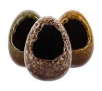 EPIGEIST Ensemble de 3 Grottes D’Angle en Céramique pour Aquarium Cachettes Réalistes en Pierre Décorative Abris pour Crevettes et Poissons Décoration Paysagère pour Reproduction et