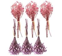 EPIGEIST Lot de 6 Bouquets Mini Gypsophiles Séchées Naturelles, Fleurs Artificielles Décoratives pour Mariage, Décoration de Table, Ornements Floraux Rose Foncé et Violet, Hauteur 12 Cm