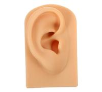 EPIGEIST Modèle Oreille Silicone Réaliste Droite pour Affichage Bijoux et Pratique Percing Support Boucles Doreilles pour Écoles de Beauté et Studios