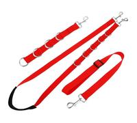 EPIGEIST Pet Grooming Loops Set Adjustable Dog Bathing and Trimming Straps Polypropylene Pet Grooming Helper