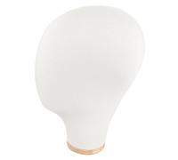EPIGEIST Support pour Perruques et Chapeaux de Mannequin et Portable pour Salons