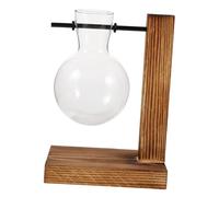 EPIGEIST Vase Hydroponique Pot Hydroponique Planteur De Verre Vase Végétal Table a Manger Récipient en Terrarium en Verre