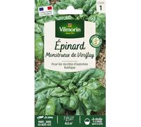 Epinard Monstrueux de Viroflay