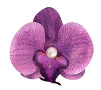 Épingle à cheveux en forme de fleur de Phalaenopsis 2024 tendance avec perles florales - Barrettes à cheveux uniques pour femmes