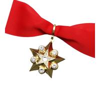 Épingle de récompense des Forces en alliage, conception précise, breloque rétro de 4cm pour afficher des cadeaux, Corsage soviétique de qualité Leader