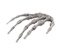 Épingles à cheveux en os de crâne - Ensemble de pinces à main en forme de squelette, accessoire gothique pour cheveux, accessoire de coiffure d'Halloween | Accent vif pour costume de fête