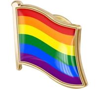 Épingles De Fierté Gay, Drapeau Arc-en-ciel, Broches À Revers Lgbtq, Décoration Pour Lesbiennes, Transgenres, Activités Gays, Décor De À Vêtements