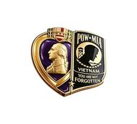 Épinglette commémorative des anciens combattants de la guerre du Vietnam, bijoux commémoratifs patriotiques en alliage de laiton, insigne commémoratif armé, bijoux commémoratifs de guerre