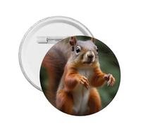 Épinglette ronde en émail avec motif écureuil amusant en alliage de métal pour veste, sac, idée cadeau., M, Plastique