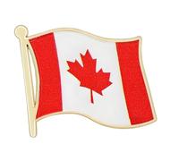 Épinglettes de drapeau en alliage pour événements internationaux et échanges culturels, avec des designs robustes, épingle de drapeau à revêtement Vintage